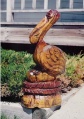 Pelican